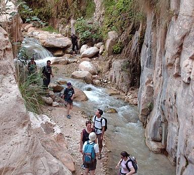 Voyage sur-mesure, réserve naturelle du wadi Mujib
